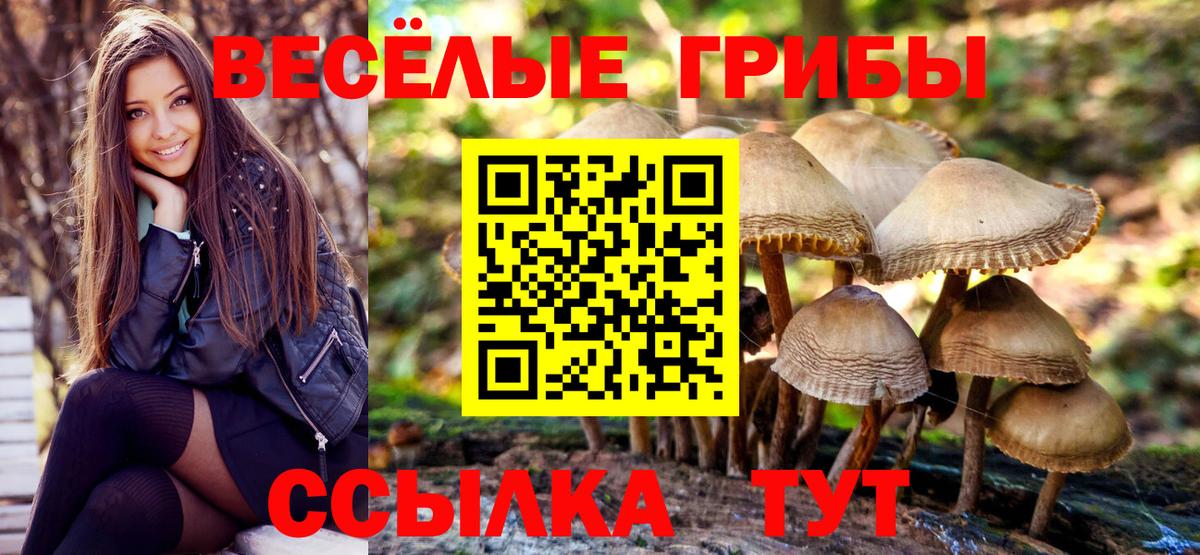 Галлюциногенные грибы мицелий  Вход с VPN  Семилуки 